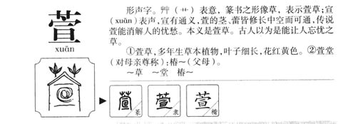 萱姓名學|萱字取名的寓意